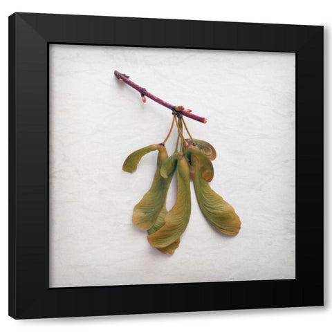 Sweet Dimensionality Black Modern Wood Framed Art Print by Savogne, Daniela