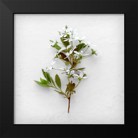 Greener Fragment Black Modern Wood Framed Art Print by Savogne, Daniela