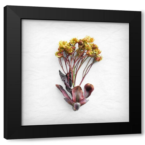 Jumping for Yellow  Black Modern Wood Framed Art Print by Savogne, Daniela