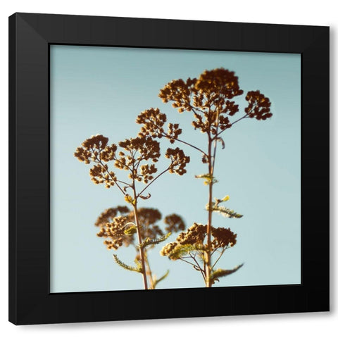 First Breath Black Modern Wood Framed Art Print by Savogne, Daniela