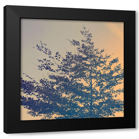 Tree Haze Black Modern Wood Framed Art Print with Double Matting by Savone, Daniela