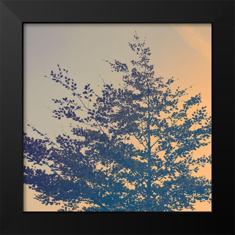 Tree Haze Black Modern Wood Framed Art Print by Savone, Daniela