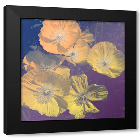 Flower Haze I Black Modern Wood Framed Art Print with Double Matting by Savone, Daniela