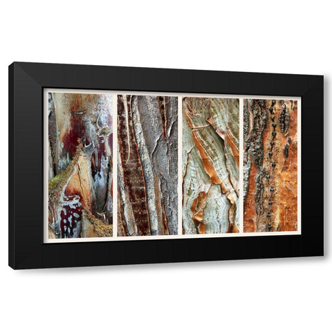 Palm Bark I Black Modern Wood Framed Art Print by Jenney, Jessica