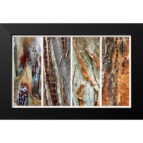 Palm Bark I Black Modern Wood Framed Art Print by Jenney, Jessica