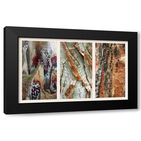 Palm Bark II Black Modern Wood Framed Art Print by Jenney, Jessica