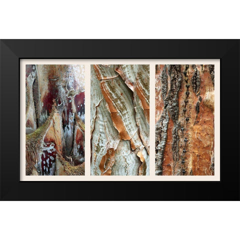 Palm Bark II Black Modern Wood Framed Art Print by Jenney, Jessica