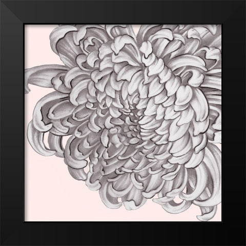 Blush Peony I Black Modern Wood Framed Art Print by Watts, Eva