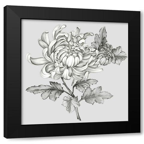 Grey Botanical II Black Modern Wood Framed Art Print by Watts, Eva