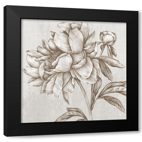 Glorious Peony II  Black Modern Wood Framed Art Print by Watts, Eva
