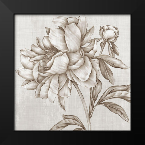 Glorious Peony II  Black Modern Wood Framed Art Print by Watts, Eva