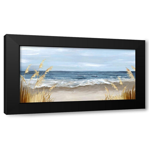 Untouched Beach Grass Black Modern Wood Framed Art Print with Double Matting by Watts, Eva