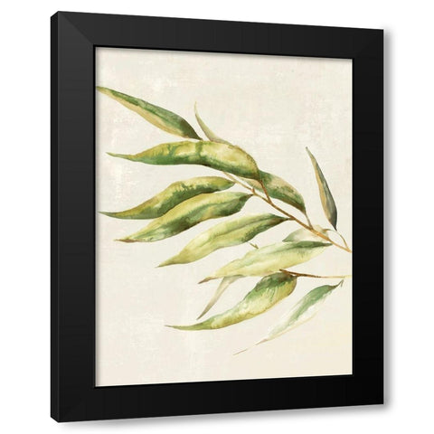 Willow Branch II Black Modern Wood Framed Art Print with Double Matting by Watts, Eva
