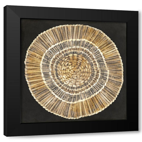 Straw Woven Plate  Black Modern Wood Framed Art Print with Double Matting by Watts, Eva