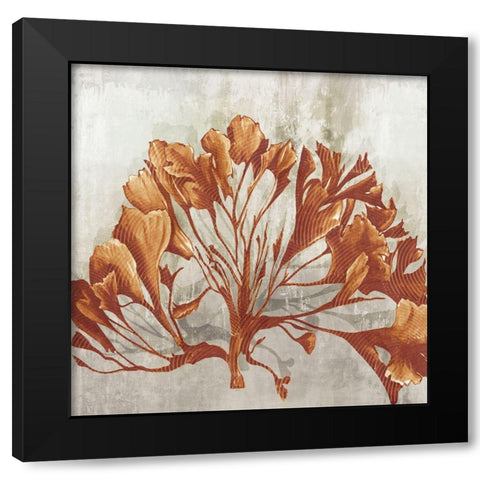 Rustic Coral II  Black Modern Wood Framed Art Print with Double Matting by Watts, Eva