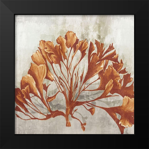 Rustic Coral II  Black Modern Wood Framed Art Print by Watts, Eva