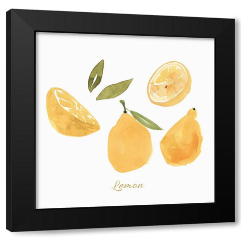 Fresh Lemons Black Modern Wood Framed Art Print with Double Matting by Isabelle Z