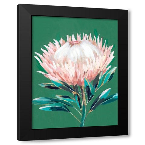 Single King Protea  Black Modern Wood Framed Art Print by Isabelle Z