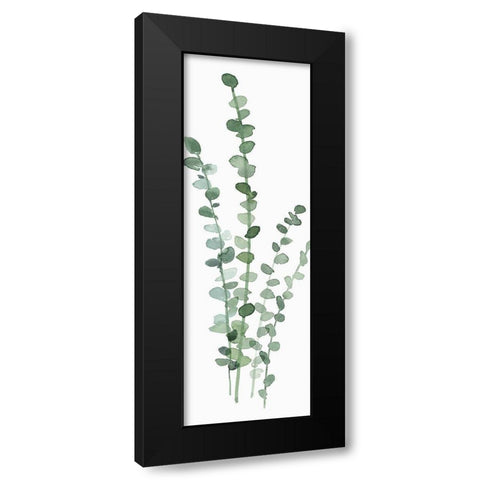 Fresh Eucalyptus Black Modern Wood Framed Art Print with Double Matting by Isabelle Z
