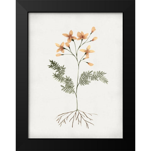 Rooted Floral II Black Modern Wood Framed Art Print by Isabelle Z