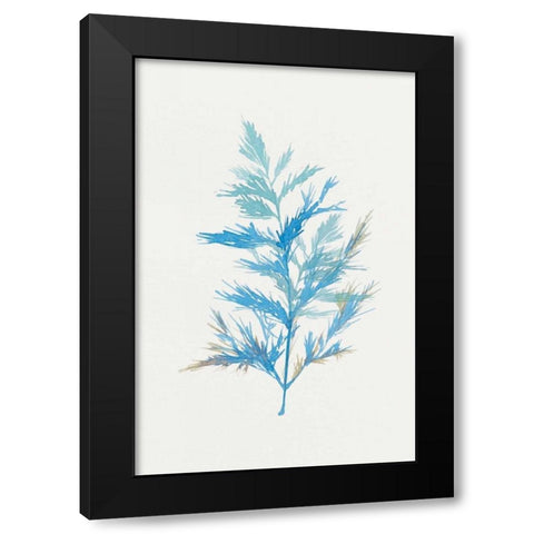 Whimsical Botanical I Black Modern Wood Framed Art Print with Double Matting by Isabelle Z