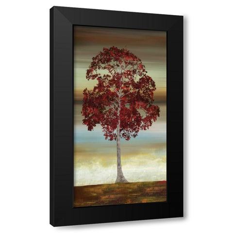 Swept Away II Black Modern Wood Framed Art Print with Double Matting by Fontaine, Drako
