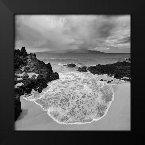 Beach Oasis Black Modern Wood Framed Art Print by Frates, Dennis
