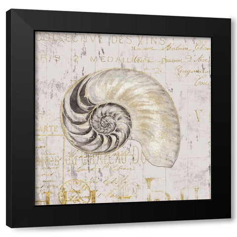 Golden Vintage Shell I Black Modern Wood Framed Art Print with Double Matting by Zaman, Farida