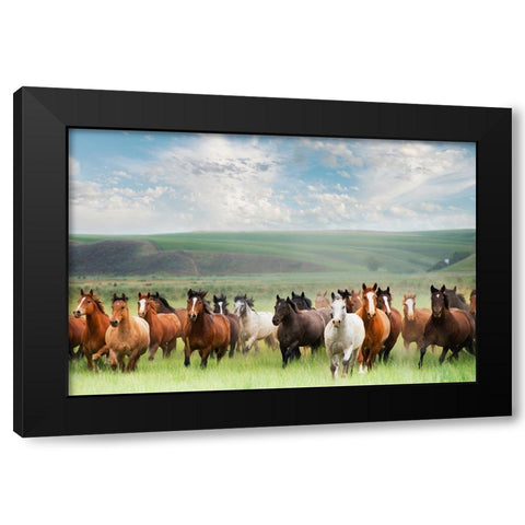 Horse Stampede Black Modern Wood Framed Art Print by Lane, Georgianna