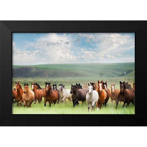Horse Stampede Black Modern Wood Framed Art Print by Lane, Georgianna