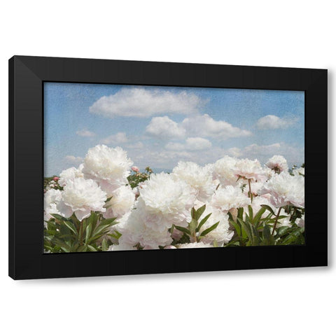 Peonie Sunshine I Black Modern Wood Framed Art Print by Lane, Georgianna