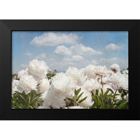 Peonie Sunshine I Black Modern Wood Framed Art Print by Lane, Georgianna