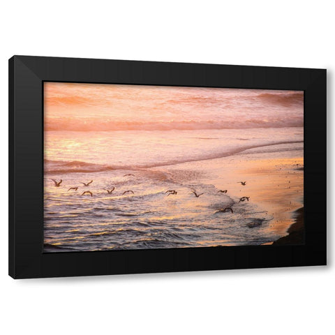 Ocean Beach and Sunset Seagulls Black Modern Wood Framed Art Print with Double Matting by Nature Magick