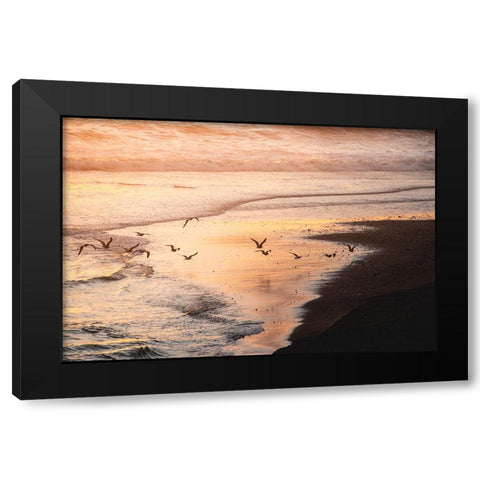 Sunset Seagulls and Pacific Ocean II Black Modern Wood Framed Art Print by Nature Magick