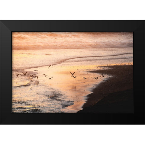 Sunset Seagulls and Pacific Ocean II Black Modern Wood Framed Art Print by Nature Magick