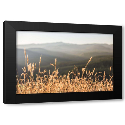 Mountain and Fall Fields Black Modern Wood Framed Art Print with Double Matting by Nature Magick