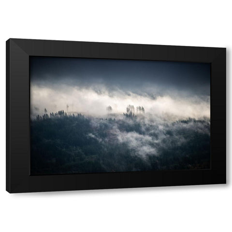 Fir Trees in the Forest Fog Blue Black Modern Wood Framed Art Print by Nature Magick