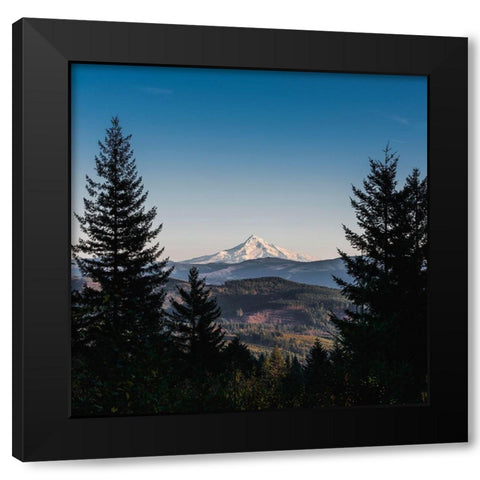 Mountain Through the Forest Black Modern Wood Framed Art Print with Double Matting by Nature Magick