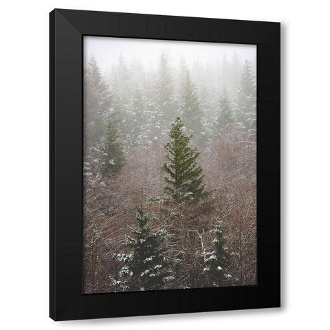 Forest Fog Winter Snow Black Modern Wood Framed Art Print by Nature Magick