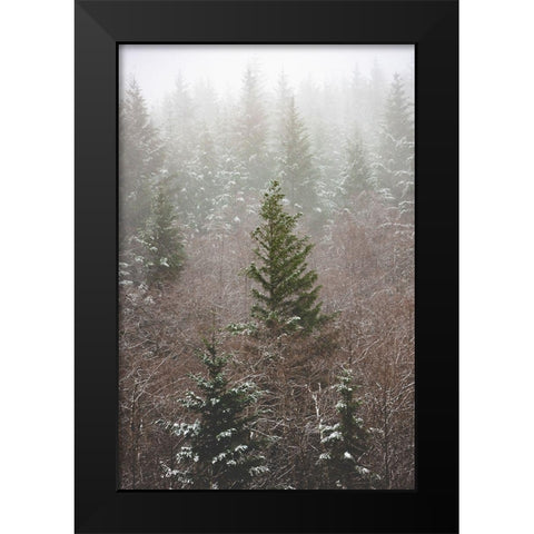 Forest Fog Winter Snow Black Modern Wood Framed Art Print by Nature Magick