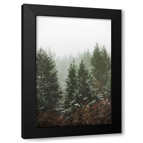 Forest Fog Winter Snow II Black Modern Wood Framed Art Print by Nature Magick