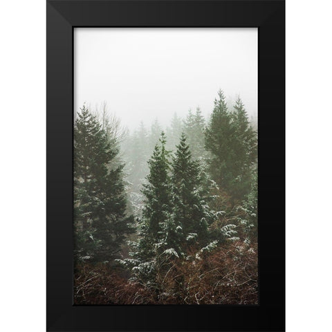 Forest Fog Winter Snow II Black Modern Wood Framed Art Print by Nature Magick