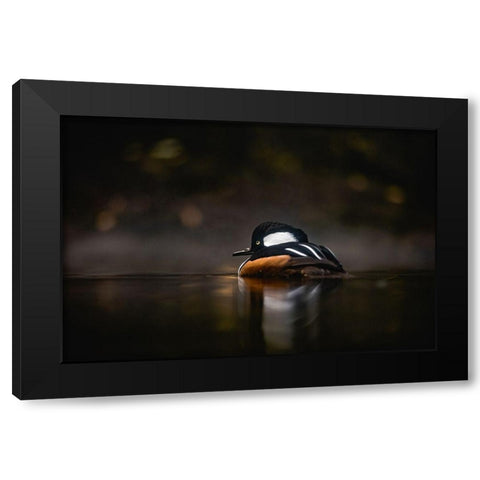 Pacific Northwest Duck Lake Reflection Black Modern Wood Framed Art Print with Double Matting by Nature Magick