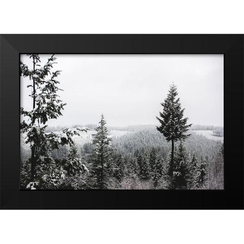 Winter in the Pacific Northwest Forest Black Modern Wood Framed Art Print by Nature Magick
