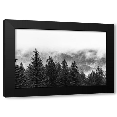 Clouds in the Forest Black and White Black Modern Wood Framed Art Print with Double Matting by Nature Magick