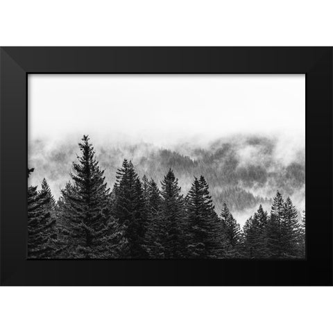 Clouds in the Forest Black and White Black Modern Wood Framed Art Print by Nature Magick