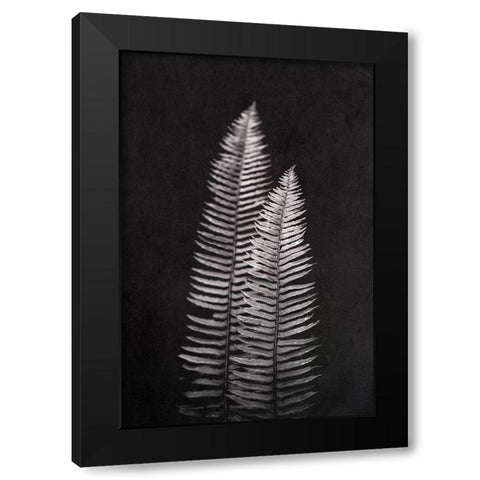 Black and White Forest Ferns Black Modern Wood Framed Art Print with Double Matting by Nature Magick