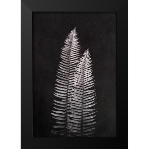 Black and White Forest Ferns Black Modern Wood Framed Art Print by Nature Magick
