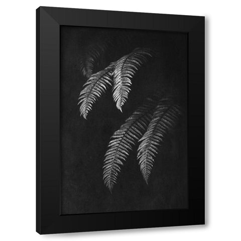 Black and White Forest Ferns II Black Modern Wood Framed Art Print by Nature Magick