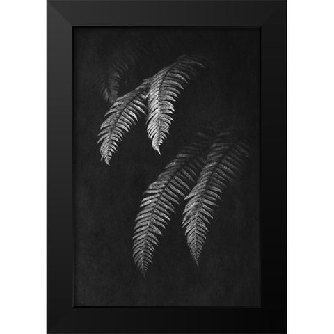 Black and White Forest Ferns II Black Modern Wood Framed Art Print by Nature Magick
